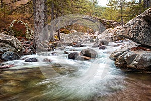 Genoese bridge over Tartagine river in Corsica