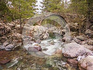 Genoese bridge over Tartagine river in Corsica