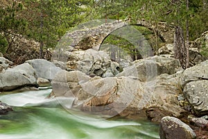 Genoese bridge over Tartagine river in Corsica