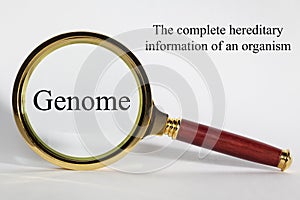 Genome Concept with Words and Magnifying Glass