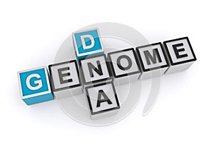 Genome dna word blocks