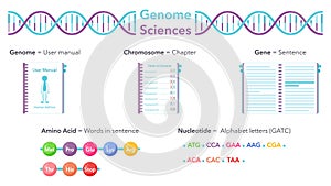 Genome Sciences educational vector illustration graphic analogy to user manual or book