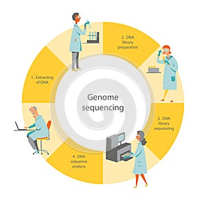 Genome sequencing workflow photo
