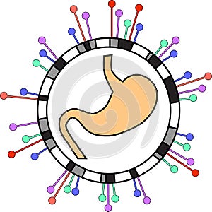 Genome-wide association study of conditions of digestive system