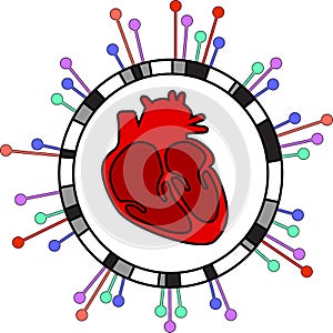 Genome-wide association study of heart related conditions