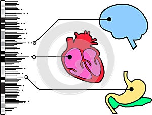 Genome-wide association study in humans