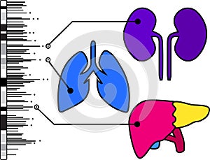 Genome-wide association study in humans