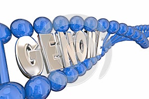 Genome Word DNA Strand Genetics Heredity