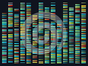 Genomic sequences. Structure of DNA genome