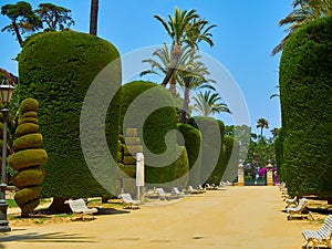 Genoves Park, Botanical Garden of Cadiz, Spain photo