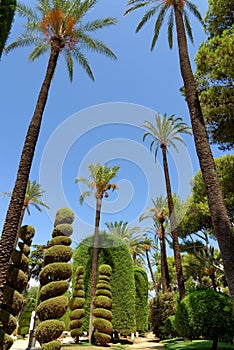 Genoves park situated on seaside of Cadiz, Andalusia, Spain