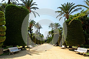 Genoves park situated on seaside of Cadiz, Andalusia, Spain