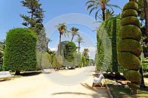 Genoves park situated on seaside of Cadiz, Andalusia, Spain