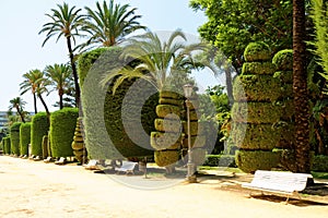 Genoves park situated on seaside of Cadiz, Andalusia, Spain