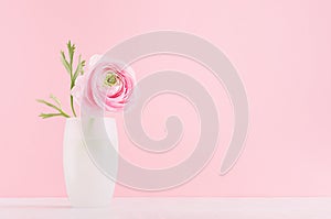 Gente pastel pink ranunculus bouquet in elegant white frosted glass vase on soft light white wood board and pink wall. photo