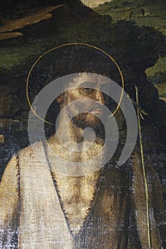 Gentile Bellini: Saint John the Baptist photo