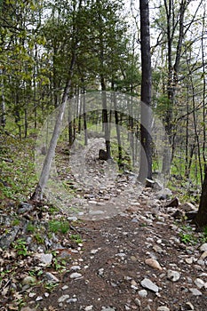 Gentilly river regional park in Quebec