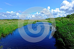 Gentle breeze peaceful landscape in summer