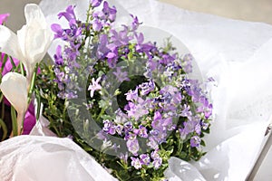 Gentle bright flowers