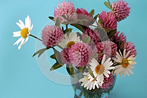 Gentle chamomile and red clover in a glass Cup .