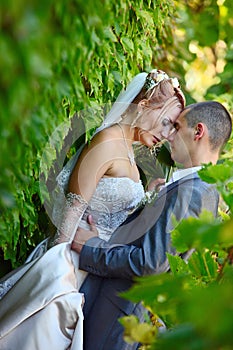 Gentle embrace of a newly-married couple