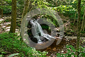 A gentle flowing cascade waterfall surrounded by lush greenery