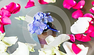 Gentle groom's boutonniere