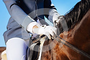 Gentle horseman wearing blue jacket and blue gloves