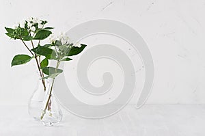 Gentle minimalist bouquet in exquisite transparent vase with white small flowers and green leaves on white shelf.