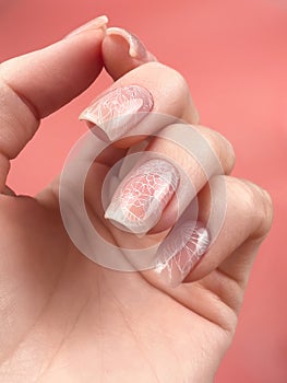 Gentle neat manicure on female hands on a background of dry flowers.