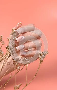 Gentle neat manicure on female hands on a background of dry flowers.