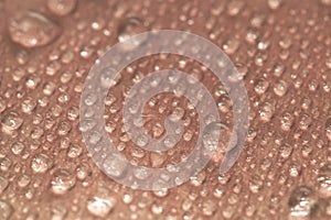 Gentle pale rose petal with different raindrops wet leaf macro wallpaper