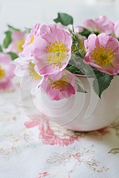 Gentle pink flower in pink cup