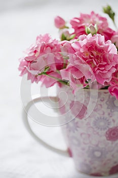 Amable rosa flor en rosa taza 