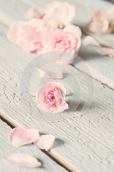 Gentle pink rose on wooden table