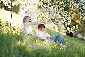 Gentle sisters hug apple blossom, sunny childhood