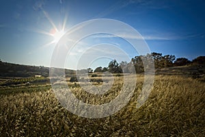 Gentle sloping fields in Malta