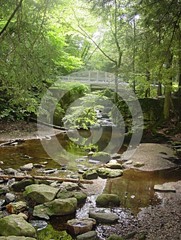 Gentle stream in the woods of connecticut in the middle of summer Shaded photo
