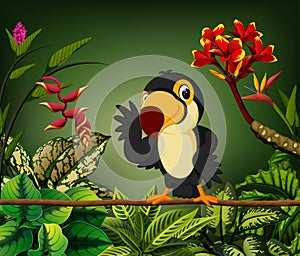 The gentle toucan perch on the stalk with the happy face