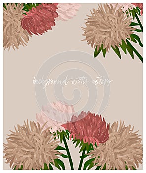 Gentle vector flat background with dusty pink asters. Elements for decor invitations for wedding and birthday, holidays. Abstract