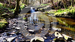 Gentle waterfall idyll.