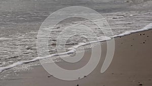 Gentle waves breaking on beach on dull day