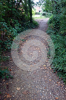 A Gentle Woodland Walk in the Countryside Path