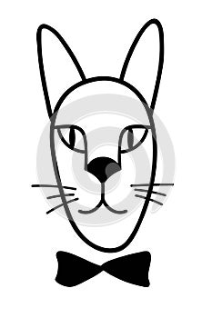 Gentleman Cat in tie. Hand drawn vector illustration of cat face. Cat Isolated objects on white background. Design