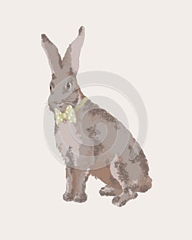 Gentleman rabbit with a green bow tie sit over white background. Realistic drawing of an elegant rabbit in a full size.