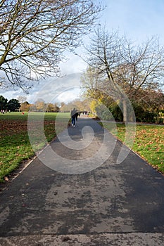 A gentleman walking in regents park  UK