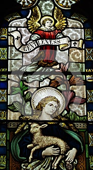 Gentleness in stained glass