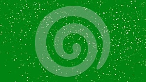 Gently falling snow seamless loop on green screen for keying.