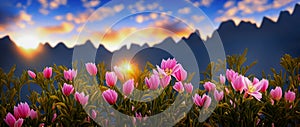 Gently pink flower buds with long green leaves, mountain silhouettes and glowing clouds against a blue sky in the background.