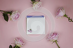 Gently pink roses laid out around a notebook with a flash drive on a pink background